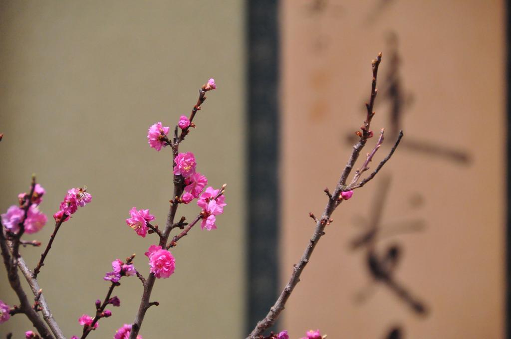 Ryokan Urashima Onomichi Cameră foto